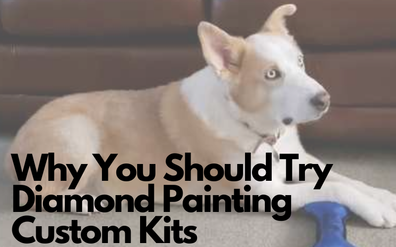 Why You Should Try Diamond Painting Custom Kits