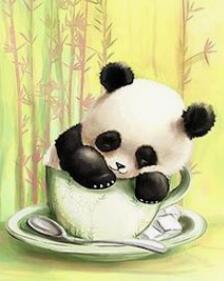 Image of Cute Baby Panda Sleeping in a Teacup