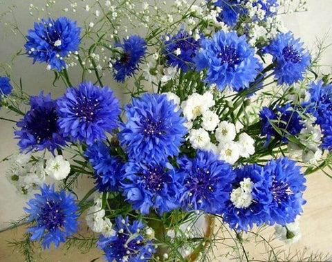 Image of Diamond painting of a beautiful bouquet featuring blue cornflowers and white gypsophila.
