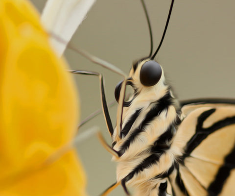 Image of A diamond painting of a butterfly's face, showing its intricate patterns and large, black eyes.