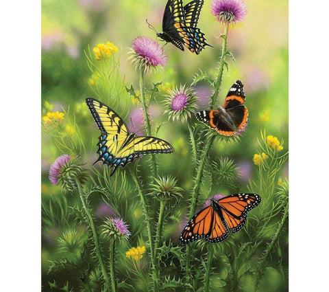 Image of Three butterflies, including a monarch, an eastern tiger swallowtail, and a red admiral, perched on purple thistle flowers in a field.