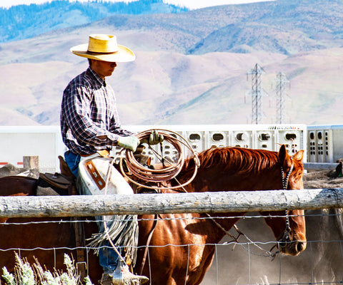 Image of Diamond painting depicting a man riding a horse across a mountain landscape.