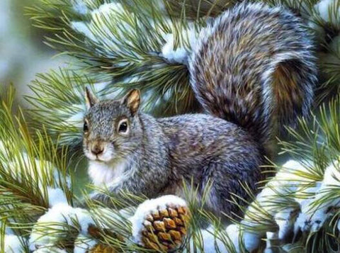 Image of Diamond painting of a squirrel perched on a snow-covered pine tree branch, with a pine cone nearby.