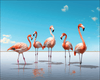 Flamingo Fiesta - DIY Diamond Painting