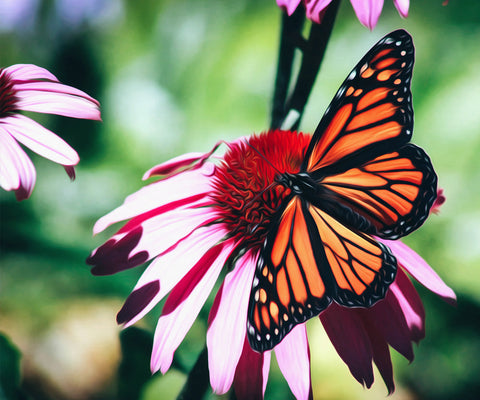 Image of A diamond painting of a monarch butterfly perched on a vibrant pink daisy.