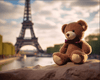 Teddy's Paris Escapade - DIY Diamond Painting
