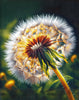 Close-up diamond painting of a dandelion puffball with seeds, creating a serene and calming effect.