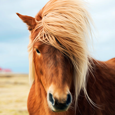 Image of Diamond painting of a beautiful brown horse with a flowing mane