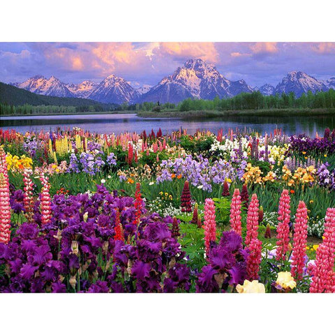 Image of Sparkling diamond painting showcasing a majestic mountain landscape bursting with wildflowers.