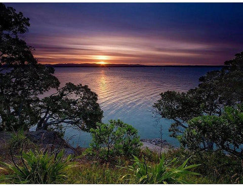 Image of diamond painting of a river at sunset with trees and a purple sky