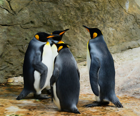 Image of diamond painting of a group of king penguins