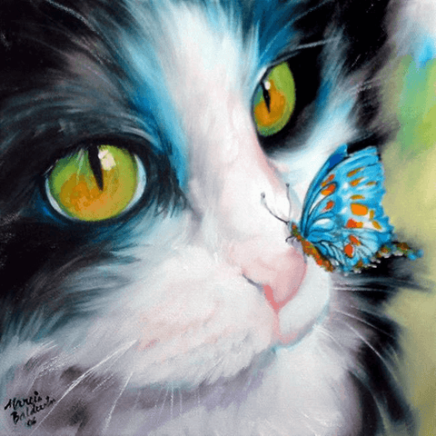 Image of Diamond painting of a playful cat with a blue butterfly on its nose.