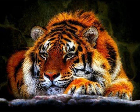 Image of A close-up diamond painting of a majestic tiger resting.