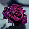Diamond painting of a romantic rose