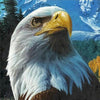 eagle beauty diamond painting kit