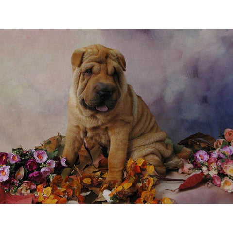 Image of Dog - DIY Diamond Painting