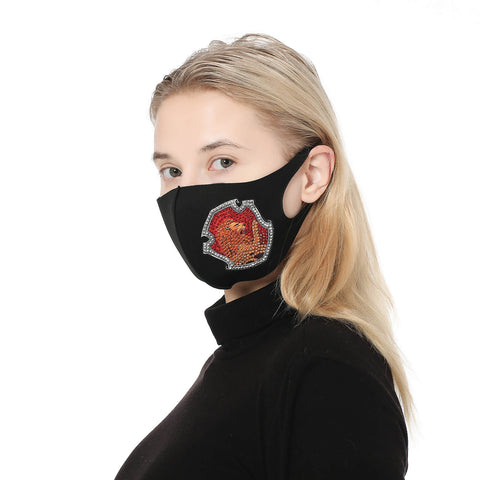 Image of Lion - DIY Diamond Face Mask