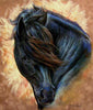 Lucky Black Horse - DIY Diamond Painting