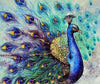 Classic Peacock - DIY Diamond Painting