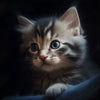 Adorable Kitten Portrait - DIY Diamond Painting