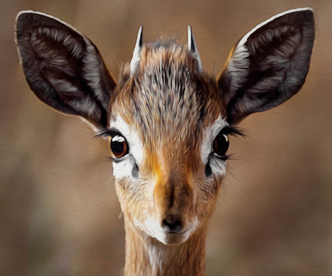 Image of Close-up of an amazed deer with wide eyes and ears perked up