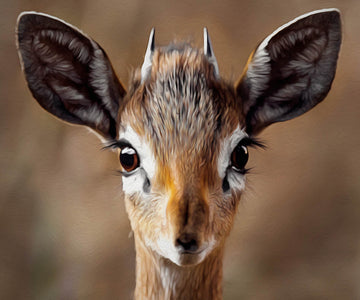 Close-up of an amazed deer with wide eyes and ears perked up