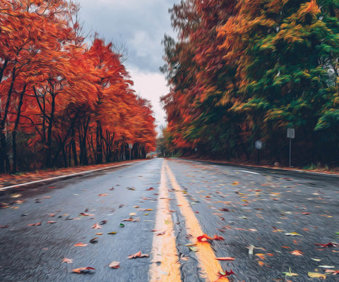 Image of Diamond Painting of Autumn Road