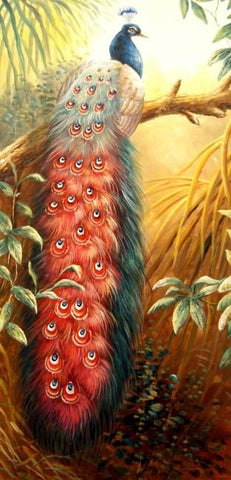 Image of Colorful Autumn Peacock Diamond Painting