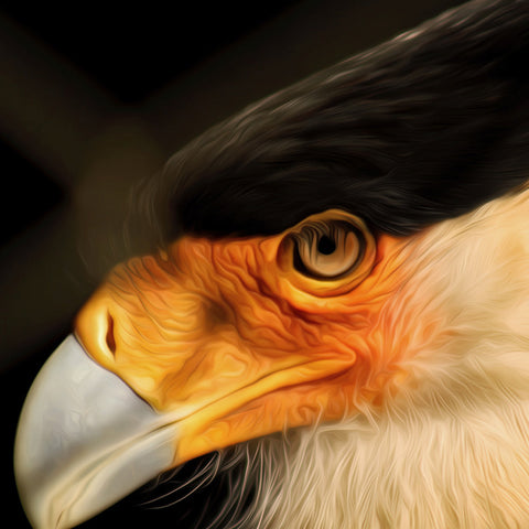 Image of Diamond Painting of Bald Eagle