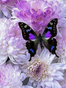 Diamond painting of a beautiful black butterfly with purple and green accents, perched on a bed of white and purple chrysanthemums.