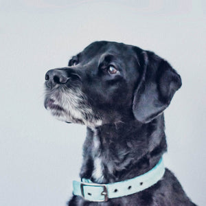 Diamond painting of a black Labrador Retriever, looking up with a curious expression, wearing a light blue collar.