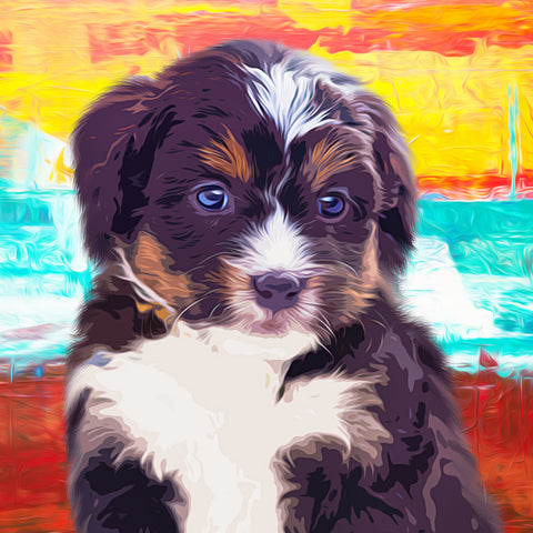 Image of Blue eyed puppy portrait