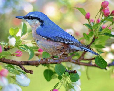 Diamond painting of a small blue bird perched on a branch with pink blossoms.