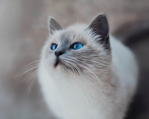 Image of Diamond painting of a beautiful blue-eyed Siamese cat with pointed ears and a curious expression.