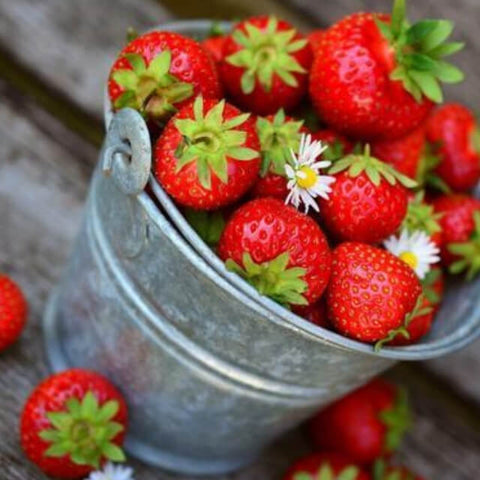 Image of Diamond painting of a bucket overflowing with ripe, red strawberries, with a few daisies scattered among them.