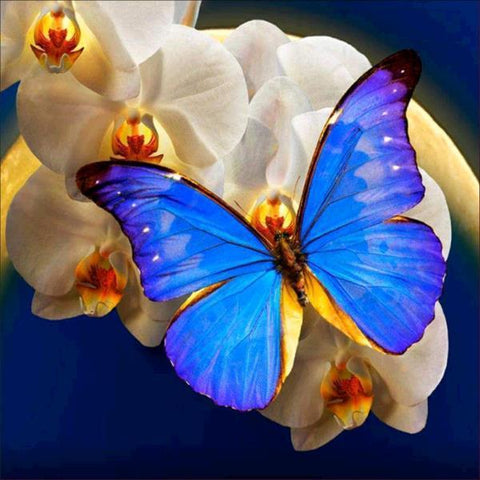 Image of Diamond painting of a beautiful blue morpho butterfly with iridescent wings, perched on a white orchid.