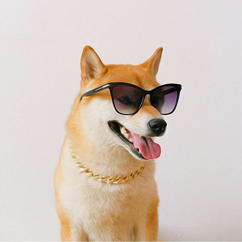 Image of Cool Shiba Inu with Sunglasses and Gold Chain Diamond Painting