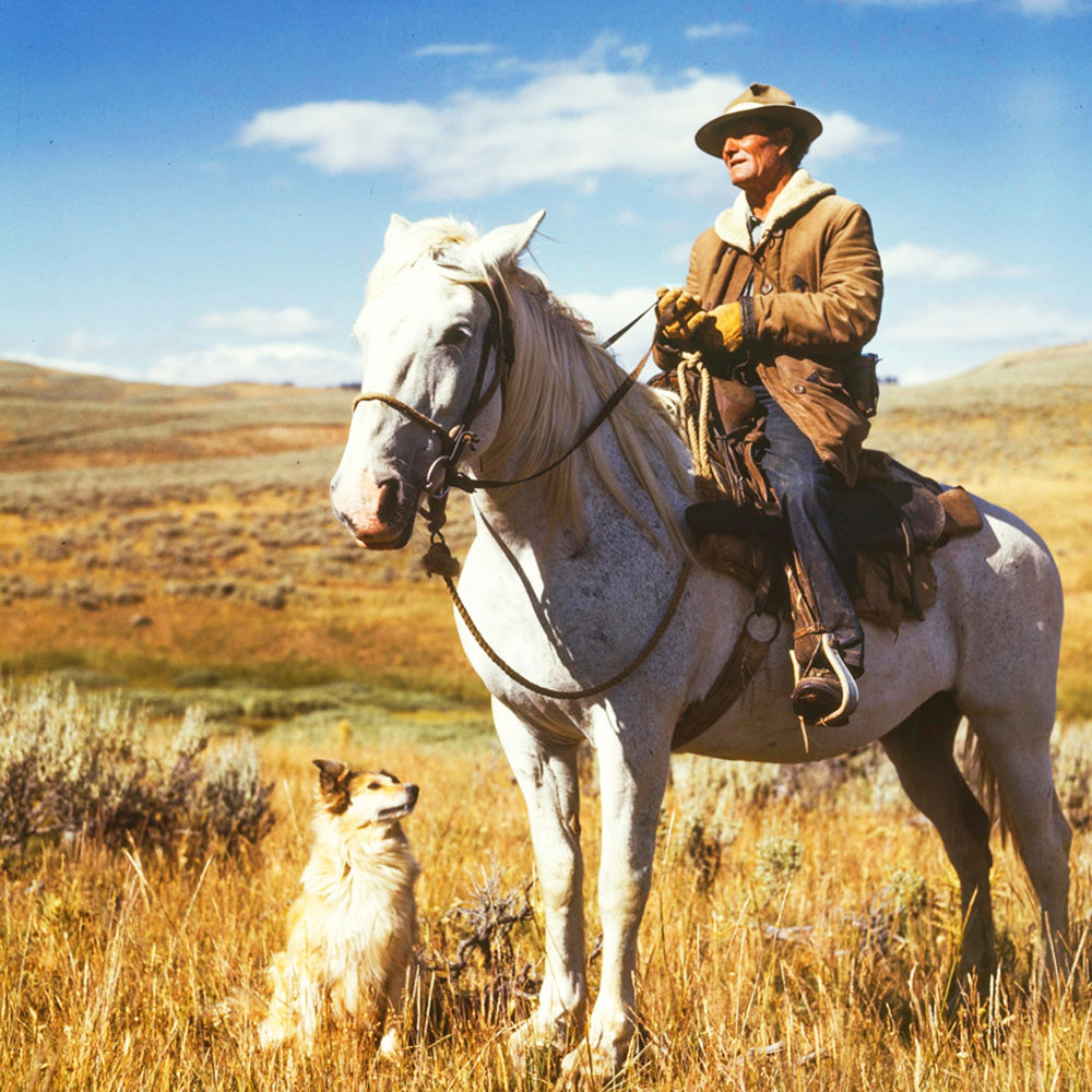 Diamond painting of a man riding a horse on a vast green field. 