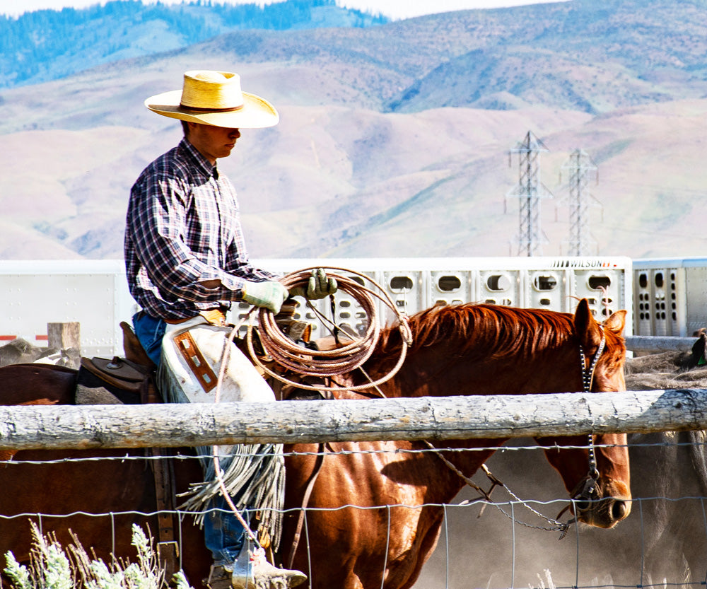 Diamond painting depicting a man riding a horse across a mountain landscape.