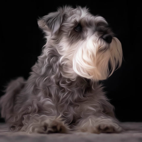 Image of Diamond painting of a cute, fluffy Schnauzer puppy with a playful expression.