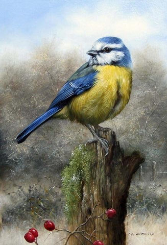 Image of Diamond painting of a Eurasian blue tit perched on a moss-covered branch, with berries nearby.