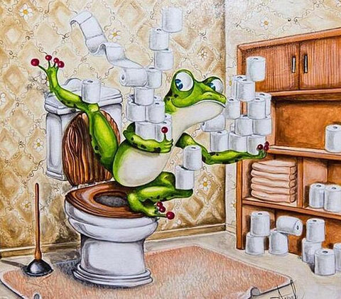 Image of Diamond painting kit of a frog holding toilet paper