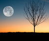 Diamond painting of a full moon rising over a bare tree