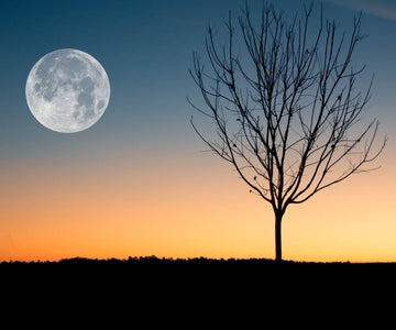 Diamond painting of a full moon rising over a bare tree