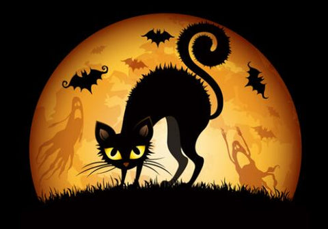 Image of Black cat silhouetted against a large orange moon with bats, ghosts, and a witch in the background.