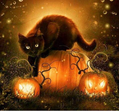 Image of Black cat sitting on a glowing pumpkin with another carved pumpkin in the background in a dark, magical setting.