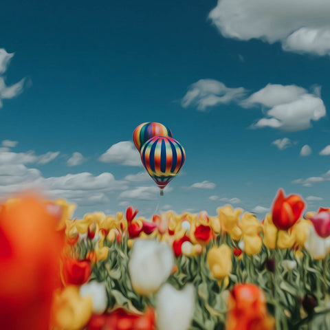 Image of Colorful hot air balloons floating above a field of tulips