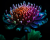 Iridescent Chrysanthemum Fantasy - DIY Diamond Painting