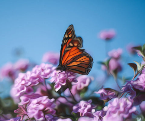 Image of A diamond painting of a monarch butterfly perched on a cluster of pink carnations.