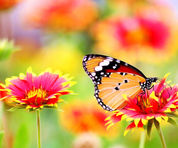 A diamond painting of a monarch butterfly perched on a vibrant flower in a summer garden.